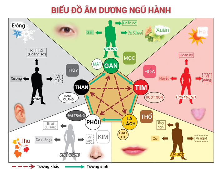 Nguyen-ly-ngu-hanh