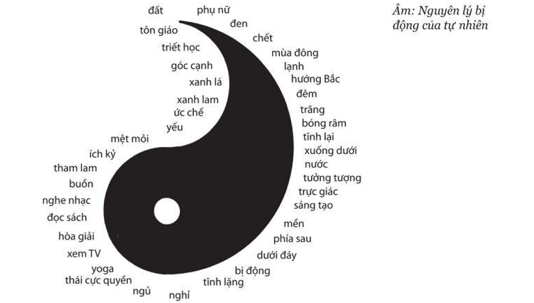 Nua-am-trong-vong-am-duong