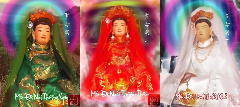 tam toa thanh mau