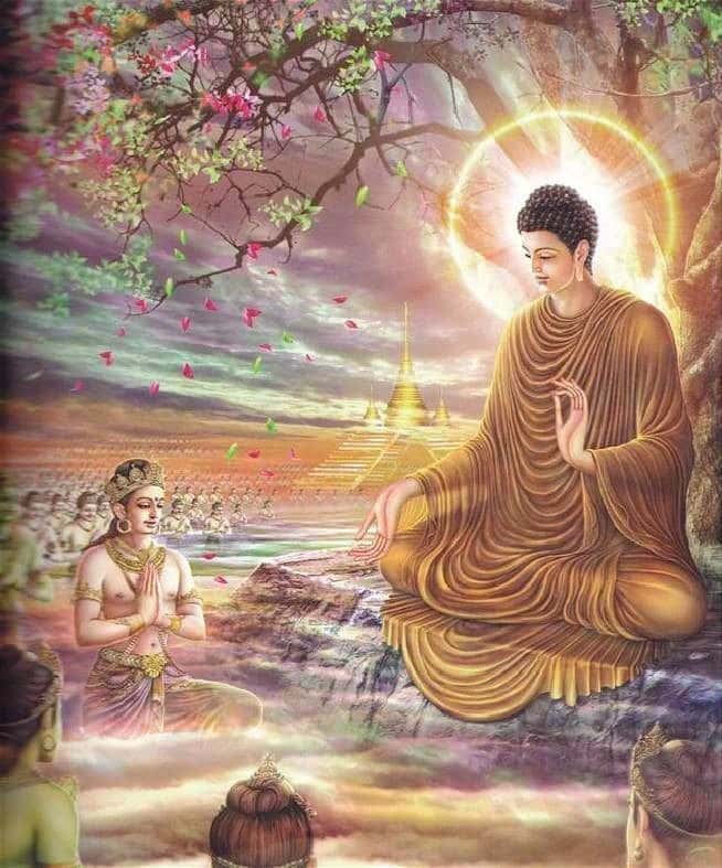 than thanh khong nhap vao xac pham