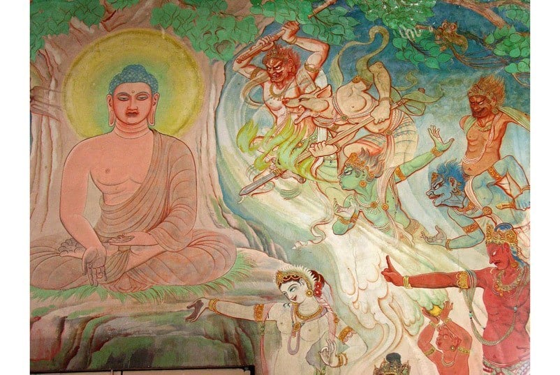 duoi-bong-bo-de