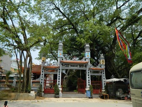 Cô Bé Cây Xanh Tuyên Quang