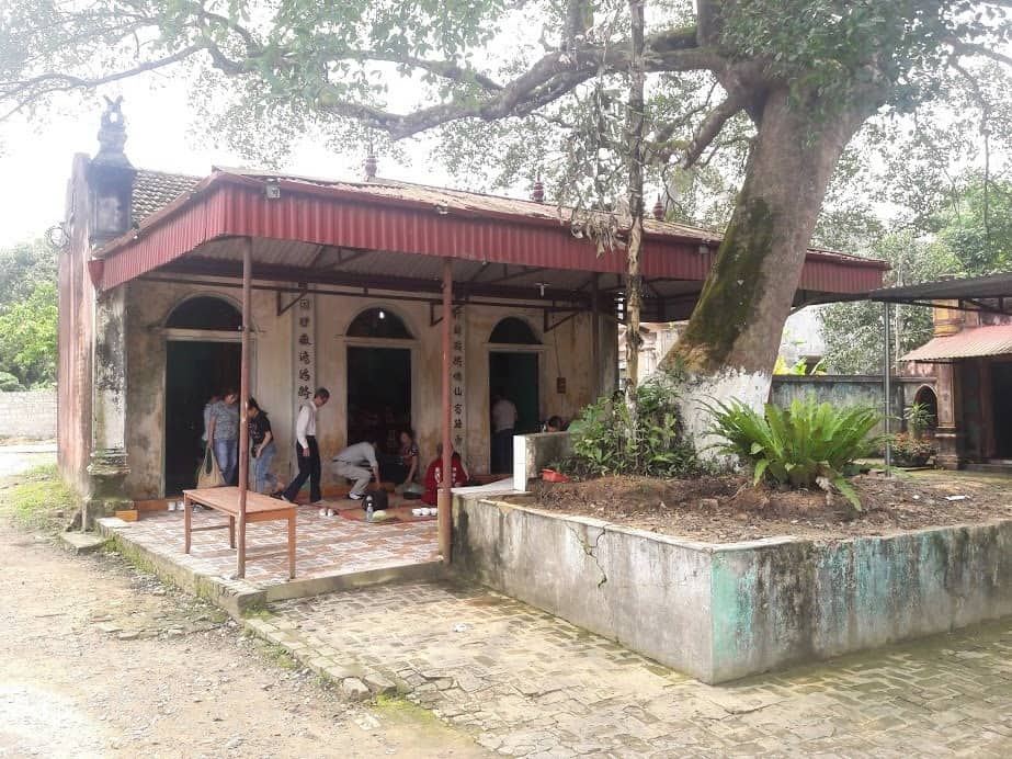 co be cay xanh bac giang