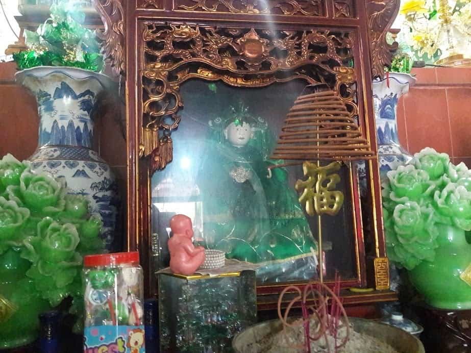 cung co be cay xanh