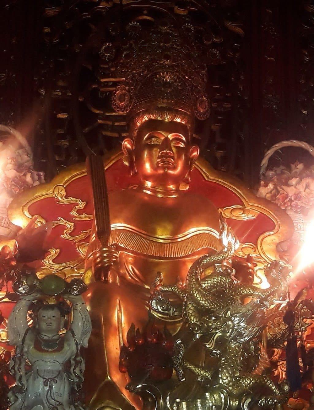 Tuong co chin suoi rong