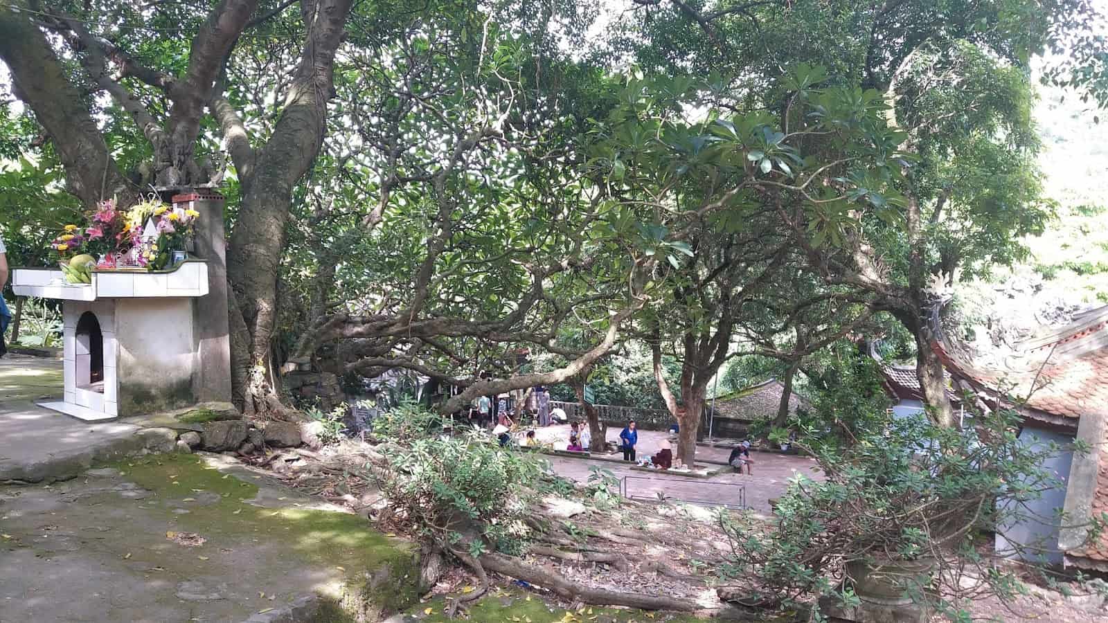 Khung cảnh bên trong đền sinh
