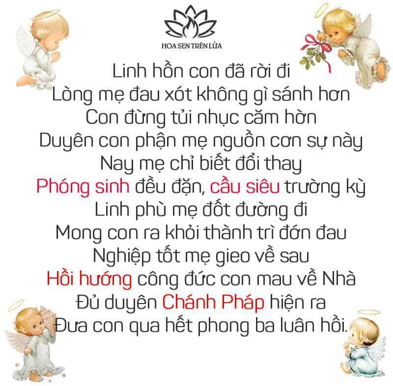 CẦU SIÊU CHO THAI NHI